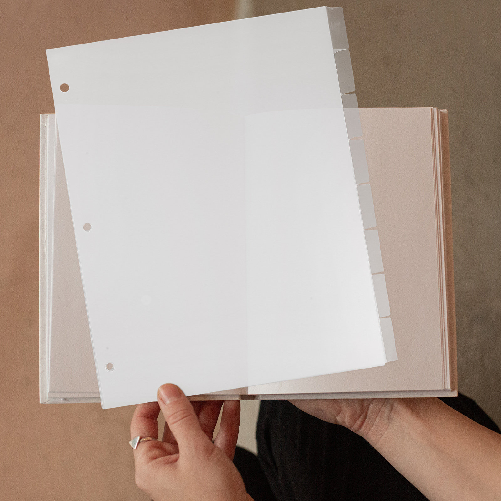 8Sheets Index Dividers Sturdy  - Index Tab Divider ulasan dan harga