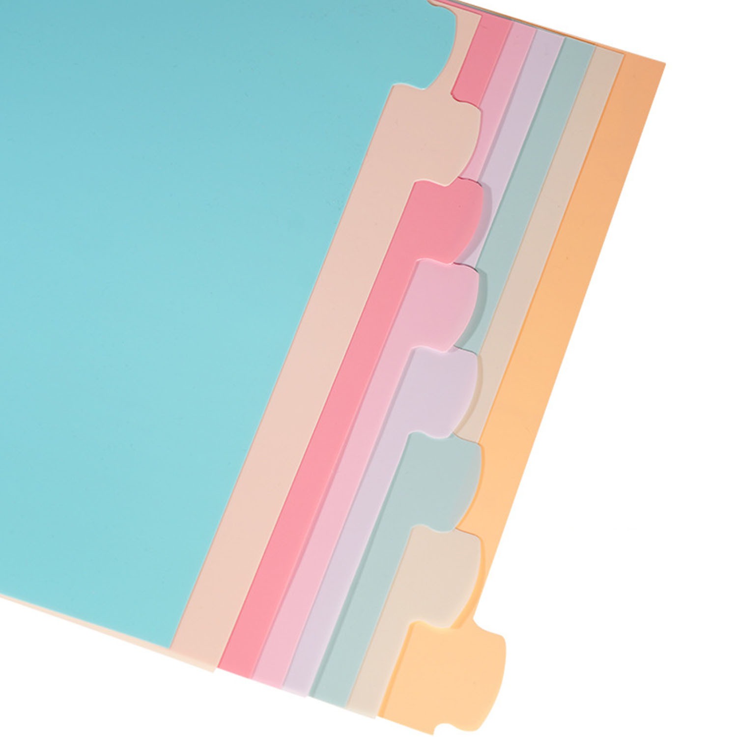 8 Tab Binder Dividers for 3 Ri - Index Tab Divider ulasan dan harga