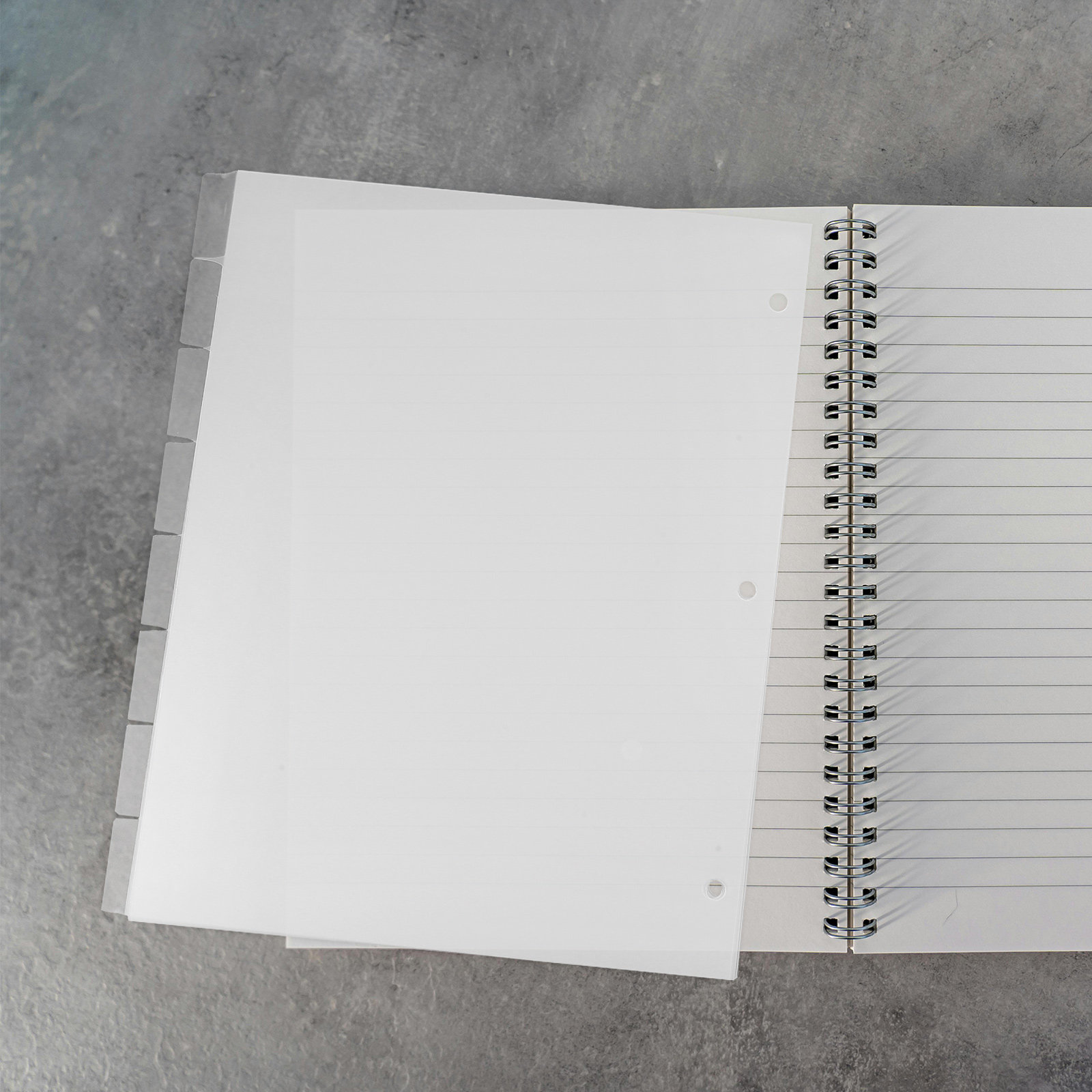 8Sheets Index Dividers Sturdy  - Index Tab Divider ulasan dan harga