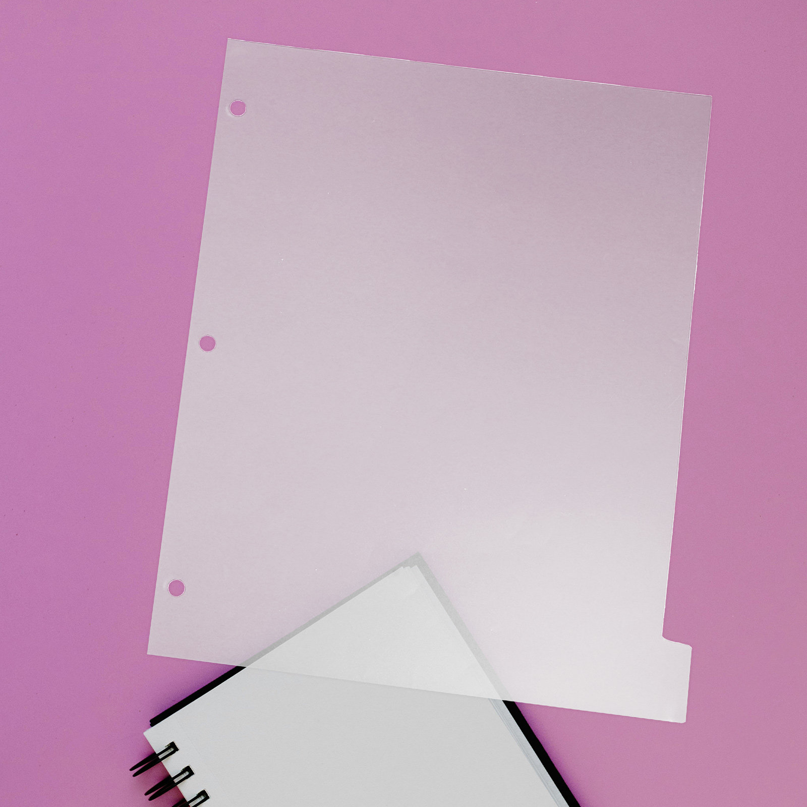 8Sheets Index Dividers Sturdy  - Index Tab Divider ulasan dan harga